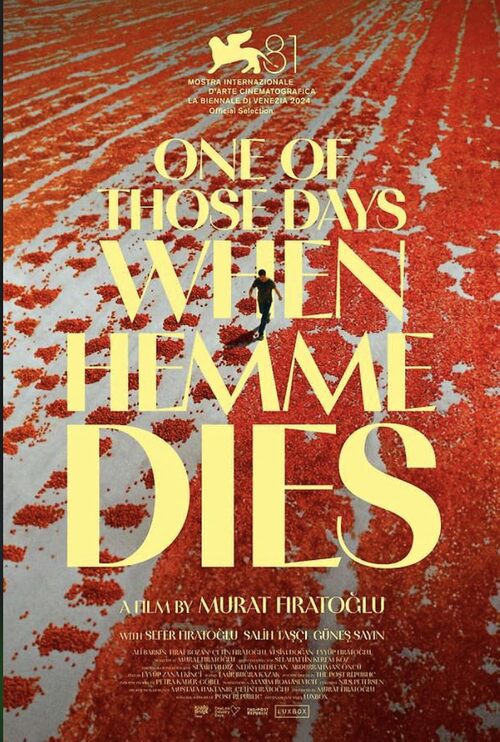 Hemme'nin Öldüğü Günlerden Biri